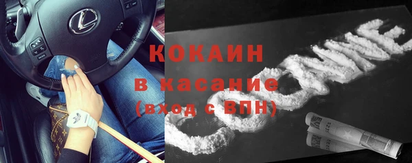 твердый Михайлов