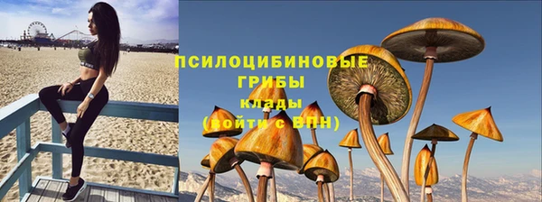 МДПВ Армянск